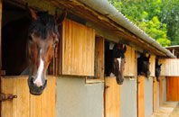 free Stoulton stable construction quotes
